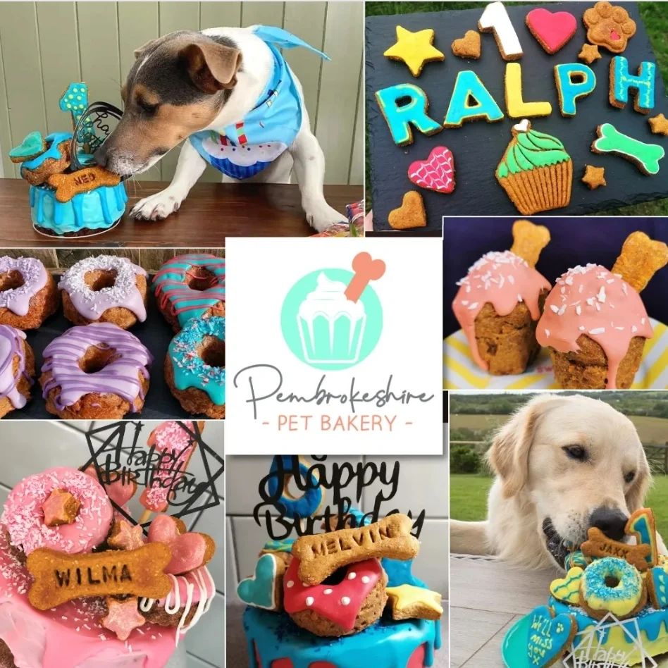 Chefs 2022 Narberth Food Festival